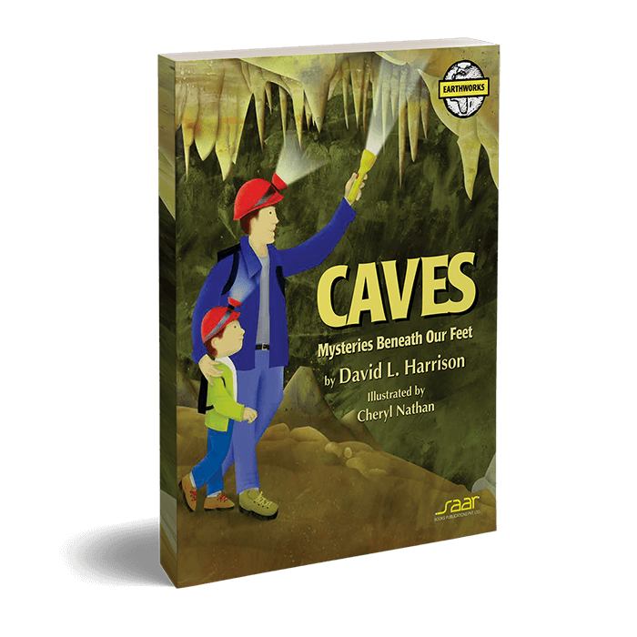 New Series Earthworks (Caves)